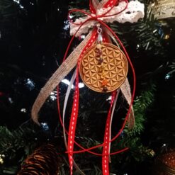 Goyri louloudi tis zois